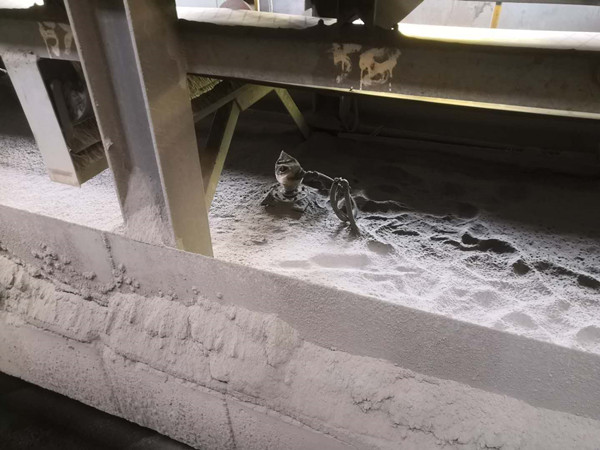 4bc56b047e99b5c2185d0a7c24c46d2_wps圖片_副本 4bc56b047e99b5c2185d0a7c24c46d2_wps圖片_副本